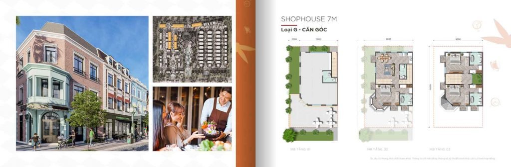 Mặt bằng Shophouse Type B