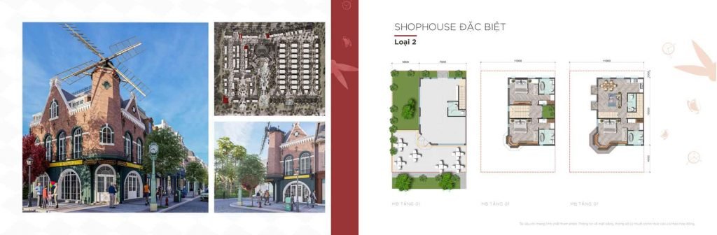 Mặt bằng Shophouse Type D