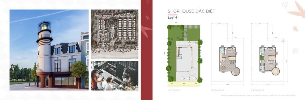 Mặt bằng Shophouse Type F