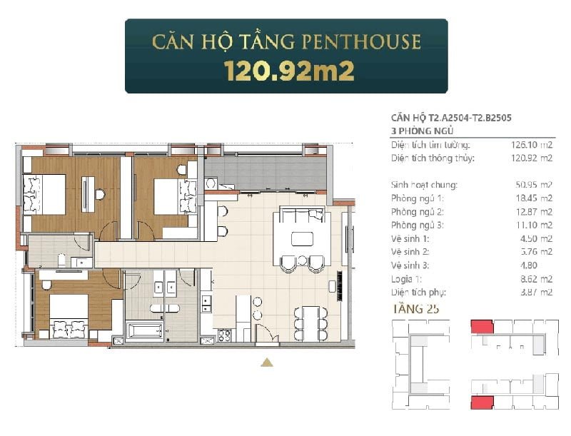 Mặt bằng căn hộ Penthouse Tumys Phú Mỹ