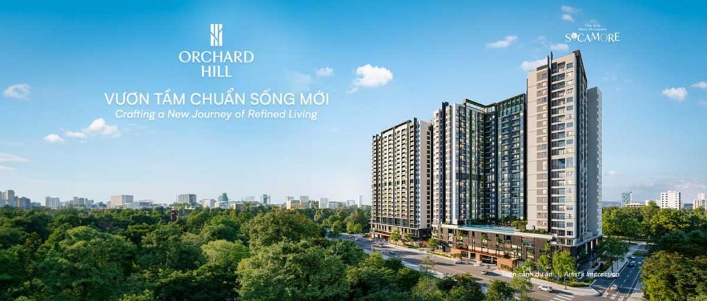 Orchard Hill Sycamore